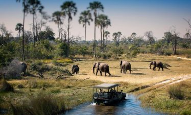 Chobe Day Trip