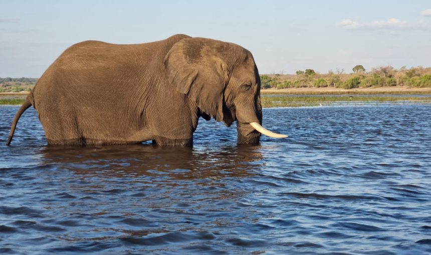 Victoria falls a world wonder