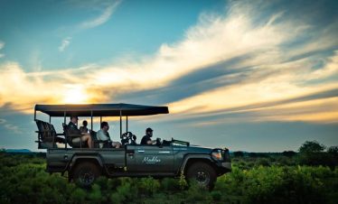 Night game drive including bush dinner
